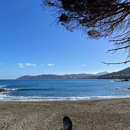Gran Sol De La Farella Daire Llança Dış mekan fotoğraf